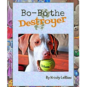 Bo-Bo the Destroyer (The Mr. Bo-Bo Picture Book Series 2)