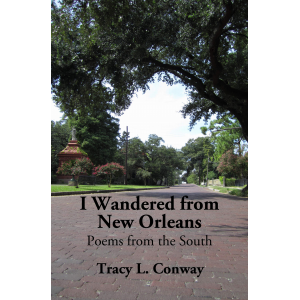 I Wandered from New Orleans: Poems from the South