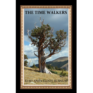 THE TIME WALKERS