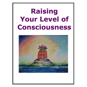 Raising Your Level of Consciousness