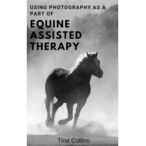 Using Photography As A Part of Equine Assisted Therapy