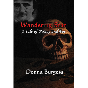 Wandering Star: A Tale of Piracy and Poe