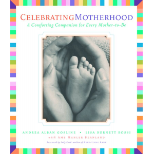Celebrating Motherhood: A Comforting Companion for Every Mother-to-be