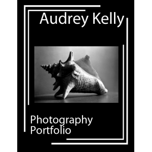 Audrey Kelly Portfolio
