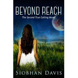 Beyond Reach (True Calling Book 2)