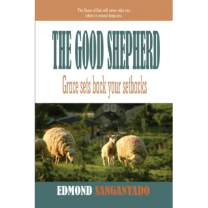 The Good Shepherd: Grace Sets Back Your Setbacks
