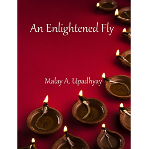 An Enlightened Fly