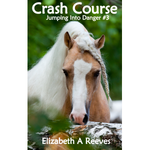 Crash Course (Jumping Into Danger #3)