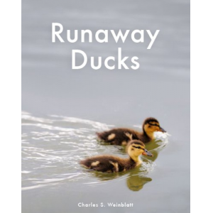 Runaway Ducks