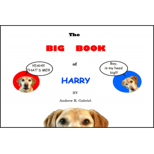 The Big Book of Harry