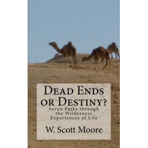 Dead Ends or Destiny? Seven Paths through the Wilderness Experiences of Life