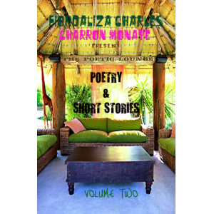 The Poetic Lounge Vol.2