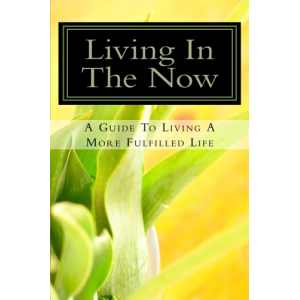 Living In The NOW: A Guide To Living A More Fulfilled Life