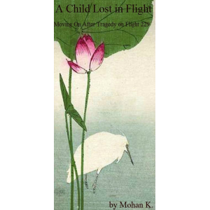 A Child Lost in Flight : Moving on after tragedy on Flight 229