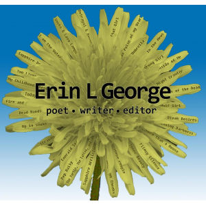 The Work of Author Erin L George