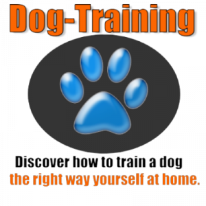 Dog Canine Training