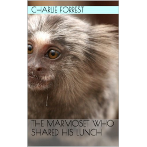 The marmoset who shared his lunch