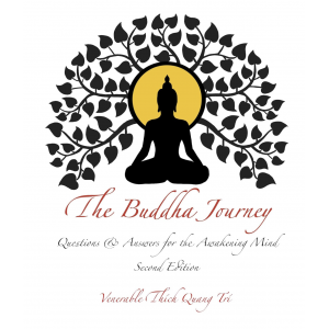The Buddha Journey: Questions & Answers for the Awakening Mind