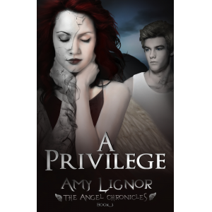 A Privilege: The Angel Chronicles, Book 3