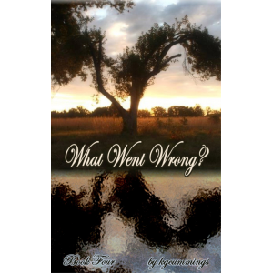 What Went Wrong? Book 4