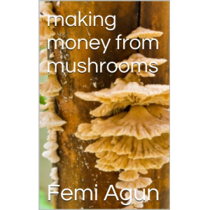 Making Money From Mushrooms