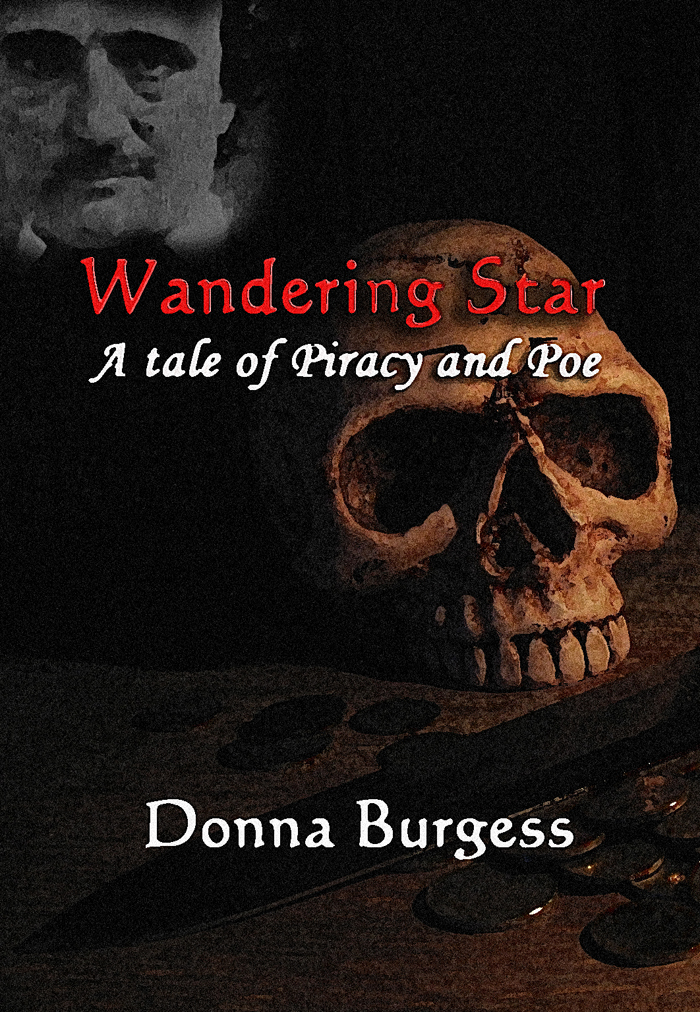 Wandering Star: A Tale of Piracy and Poe