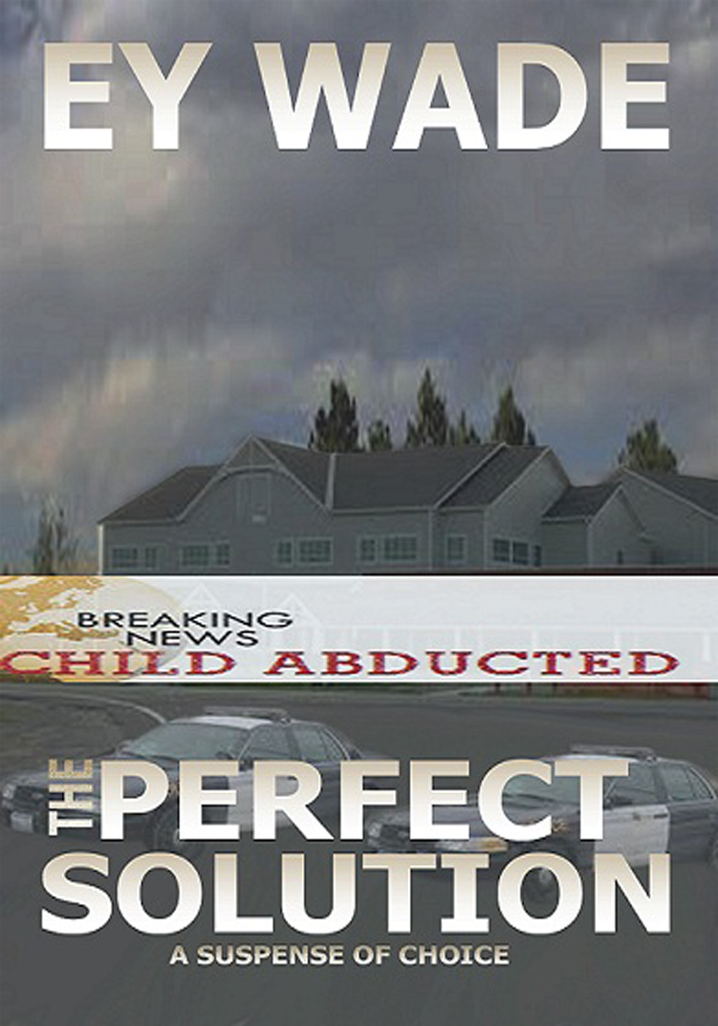 The Perfect Solution - A Suspense in Choices