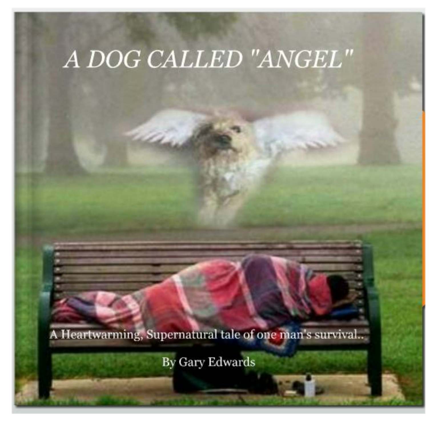 A Dog called Angel