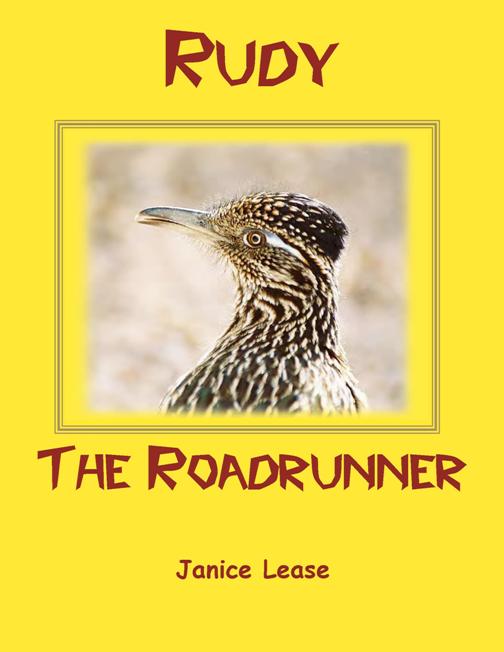 Rudy The Roadrunner
