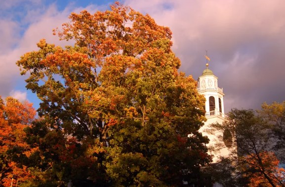 Slice Master – Finding Balance Through Precision