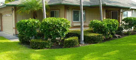 Reducing Water Bills With Smart Irrigation Technology
