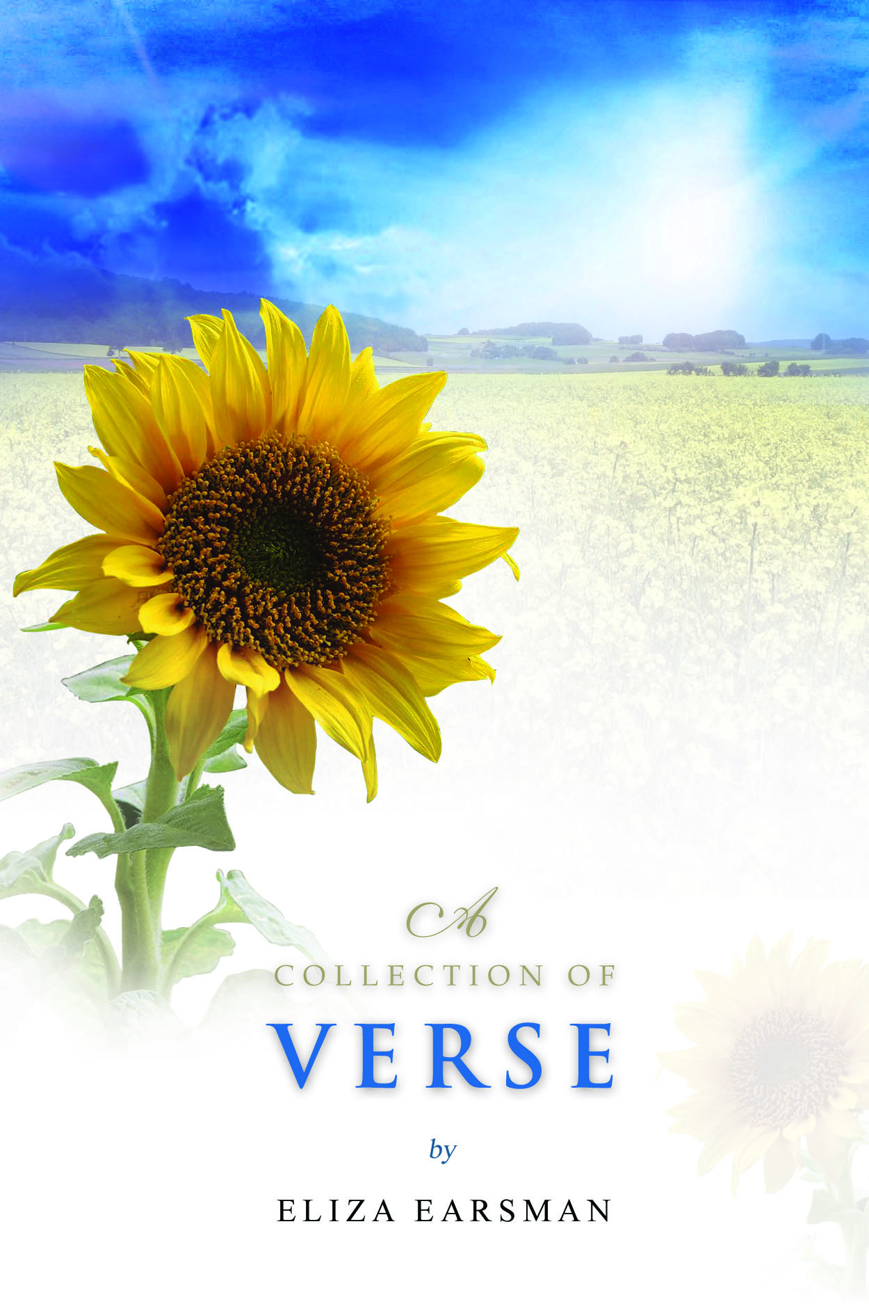 A COLLECTION OF VERSE - nonfiction 108 pages.