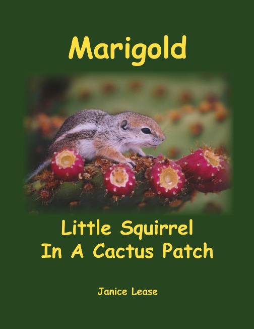 Marigold Little Squirrel In A Cactus Patch