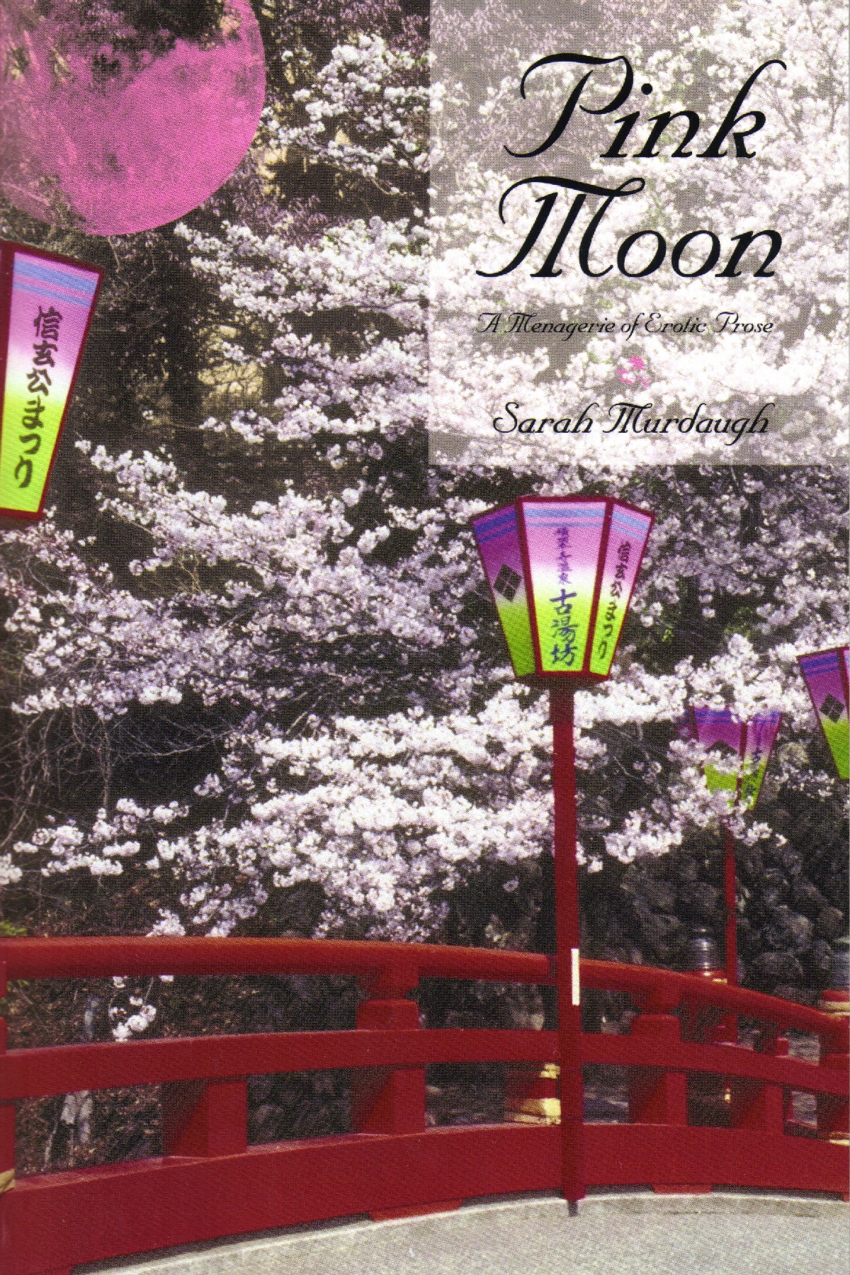 Pink Moon: A Menagerie of Eroctic Prose