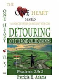 Detouring Off the Road Called Oneness