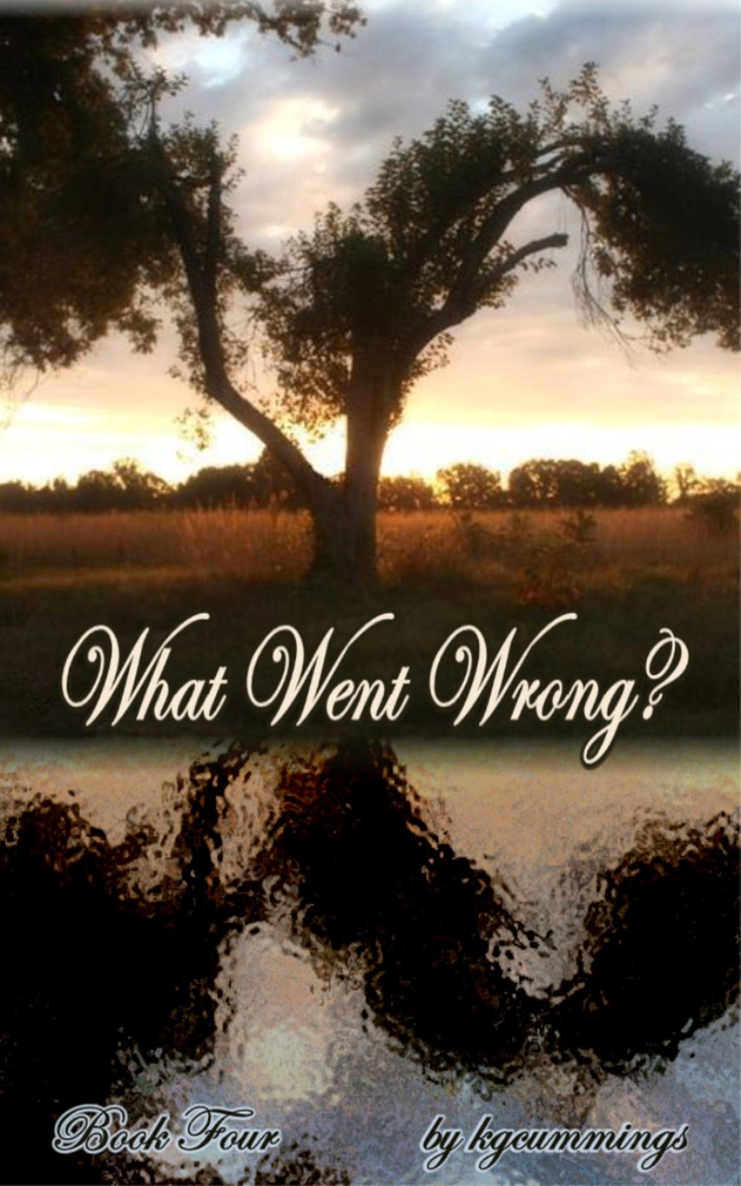 What Went Wrong? Book 4